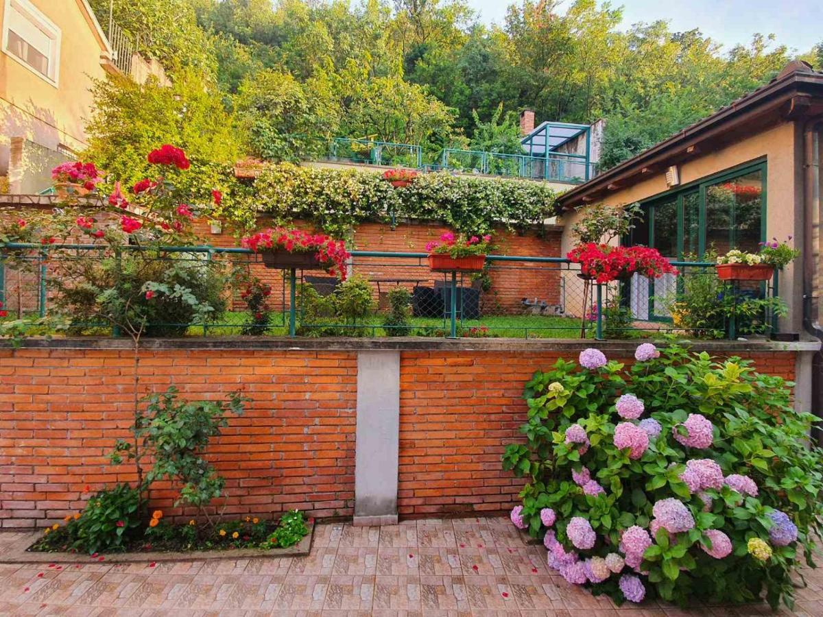 Villa Aya - With Sauna And Outdoor Swimming Pool موستار المظهر الخارجي الصورة