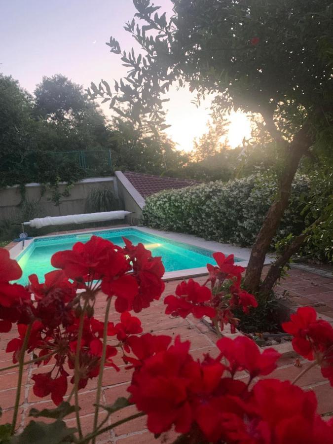 Villa Aya - With Sauna And Outdoor Swimming Pool موستار المظهر الخارجي الصورة